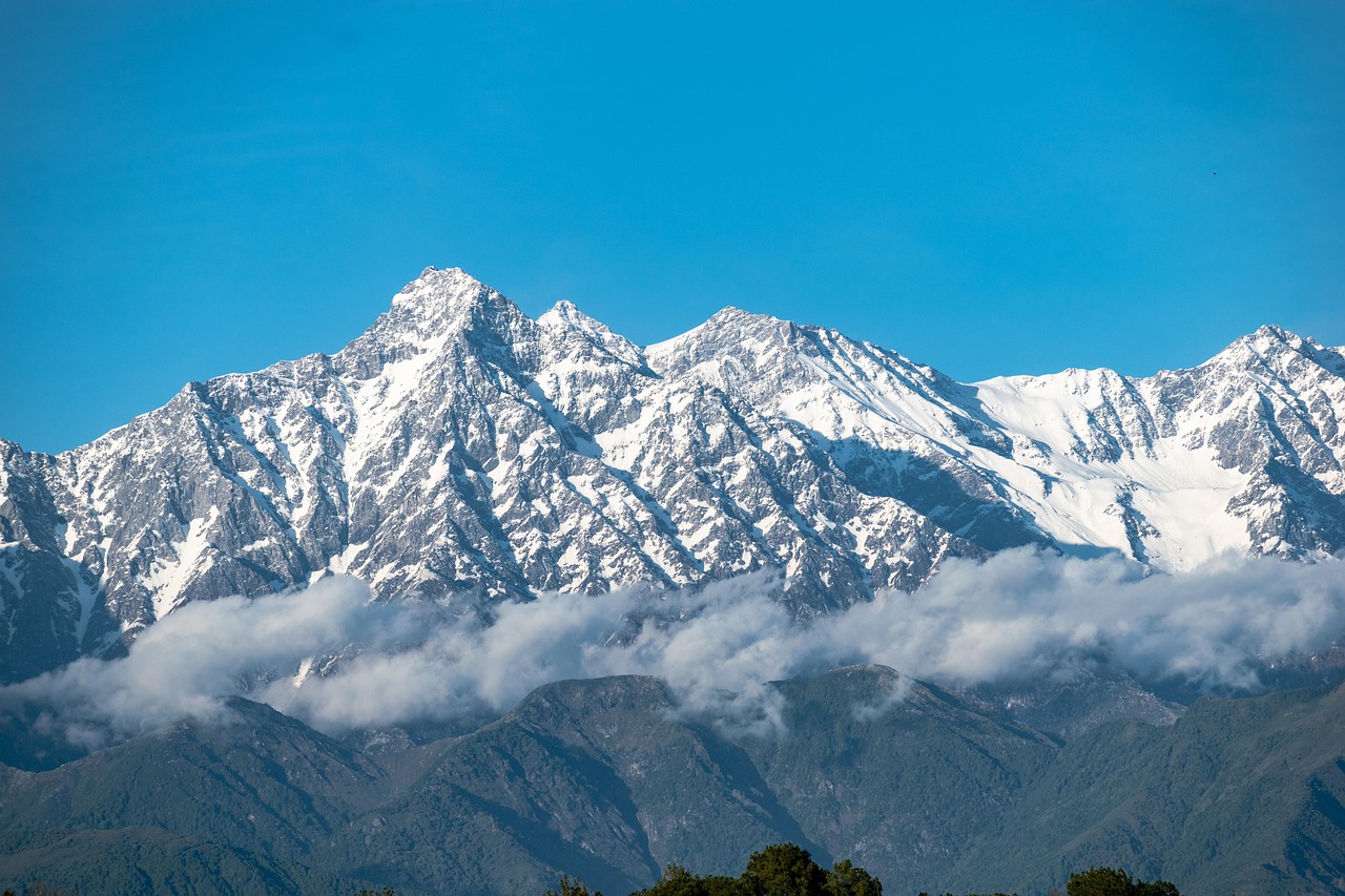 白号发卡网：代理招生平台好做