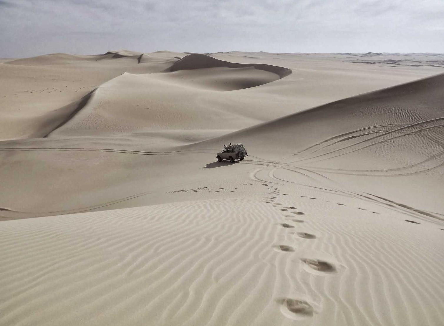 神医怎么换账号注册